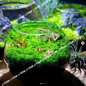 Aquarium