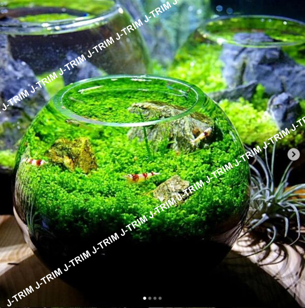 Aquarium