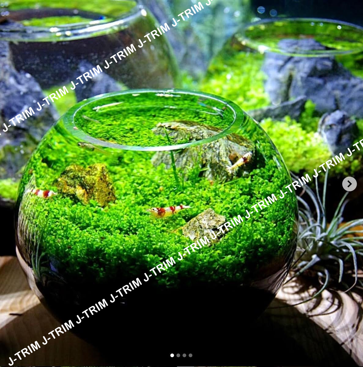 Aquarium
